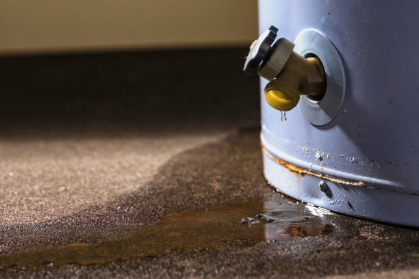 Best Basement water damage restoration  in Xenia, OH