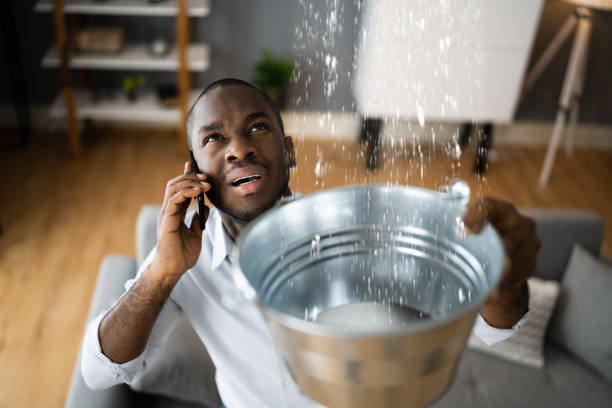 Best Ceiling water damage repair  in Xenia, OH