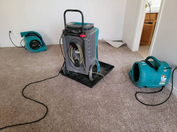 Best Residential water damage restoration  in Xenia, OH