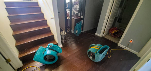  Xenia, OH Water damage restoration Pros