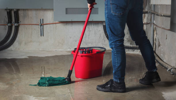 Best Ceiling water damage repair  in Xenia, OH