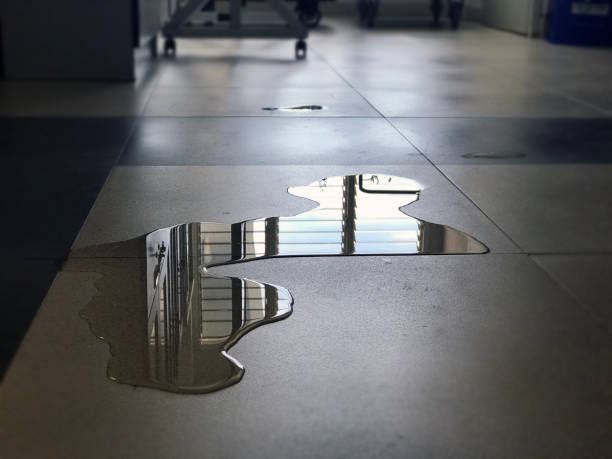 Best 24-hour water damage restoration  in Xenia, OH