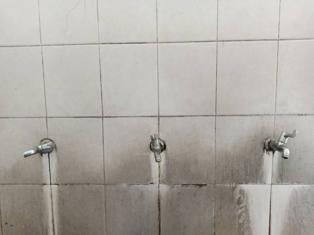 Best Fire Damage Restoration  in Xenia, OH