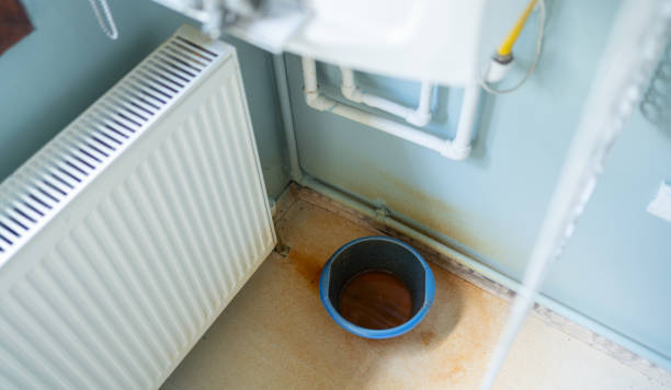 Best Professional water damage repair  in Xenia, OH