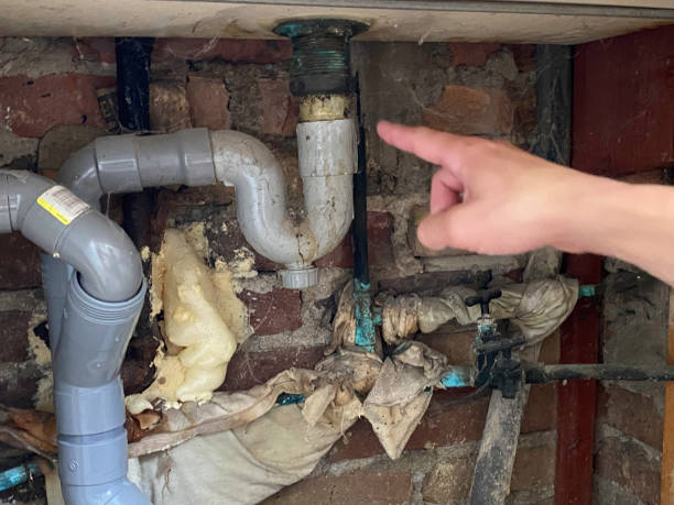 Best Commercial water damage restoration  in Xenia, OH
