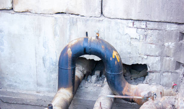 Best Water damage cleanup near me  in Xenia, OH
