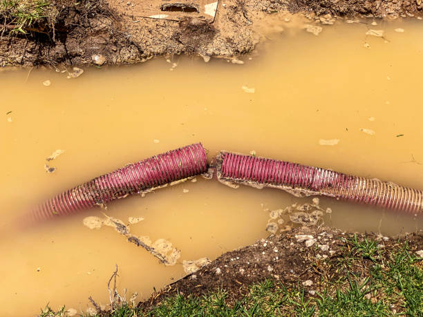 Professional Water damage restoration in Xenia, OH