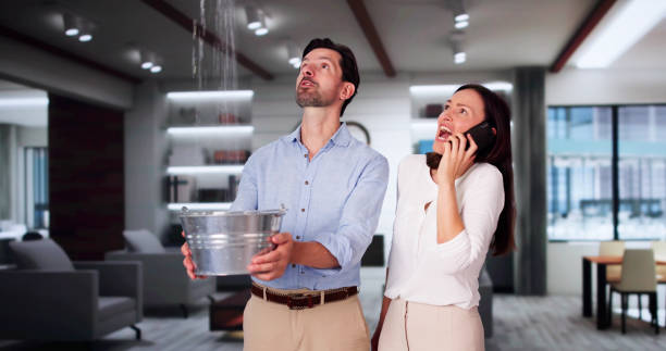 Best Local water damage restoration  in Xenia, OH