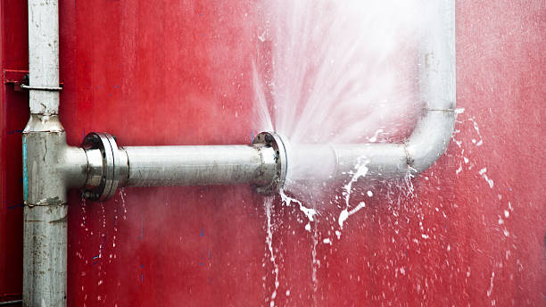 Best Mold removal after water damage  in Xenia, OH