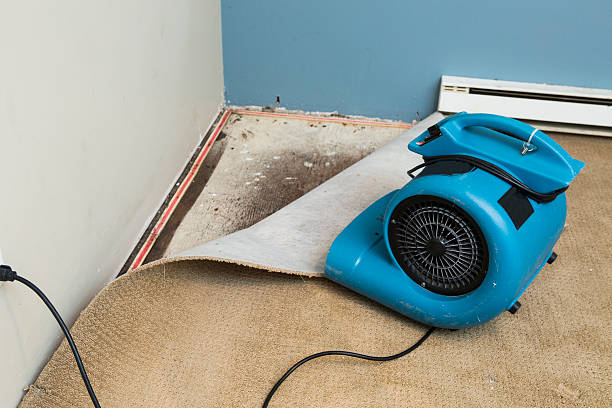 Best Local water damage restoration  in Xenia, OH